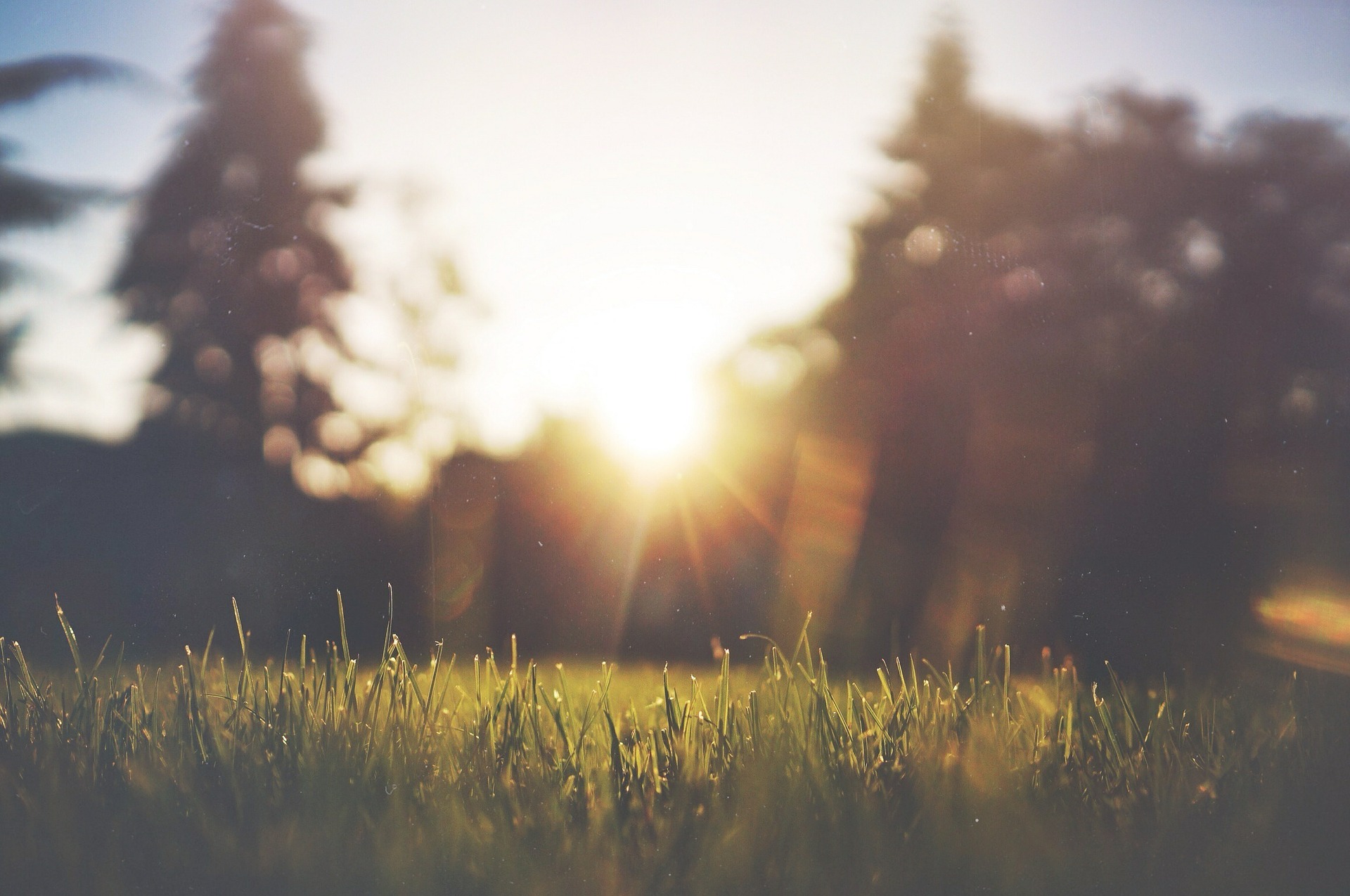 banner-other
